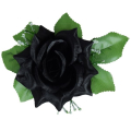 Róża w pąku - główka z liściem Black